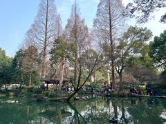-杭州植物园