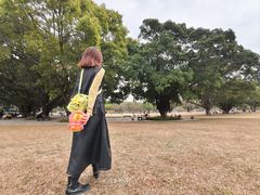 -东莞植物园