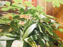 -小八仙·宴(三峡茶庄店)