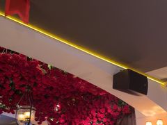 -碧特博格·20年品牌西餐厅(芜湖路店)