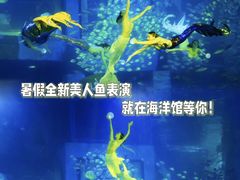 -正佳极地海洋世界