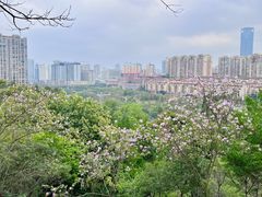 -南宁市凤岭儿童公园