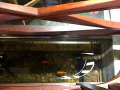 -印象江南(东栅店)