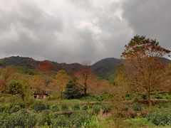 -塔川景区