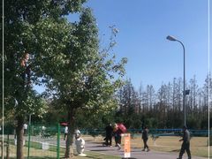 -前小桔亲子创意农场·草莓采摘·露营烧烤