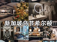-新加坡乌节希尔顿酒店 (SG Clean)