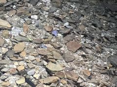 -水磨沟环境自然保护区