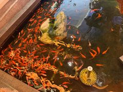 -东海怡品海鲜豆捞(星街坊店)