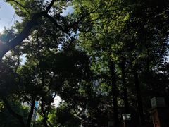 -同济大学四平路校区游泳馆