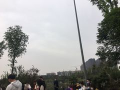 -枫香湖儿童公园