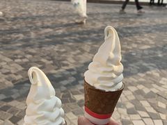 -富豪雪糕车流动点(尖沙咀店)