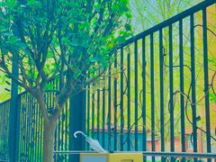 -大小咖啡 BigSmallCoffee(麦子店)