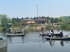 -白洋淀景区