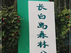 -长白岛森林公园