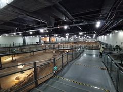 -南越王博物院(王宫展区)