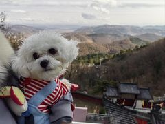 -九鼎铁刹山风景区
