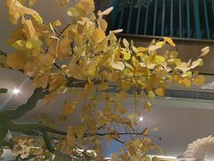 -胖老汉(迎宾路店)