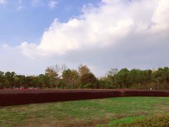 -九里河湿地公园