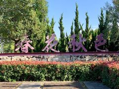 -春花秋色城市公园