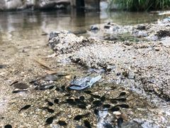 -碓臼峪自然风景区