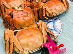 阳澄湖大闸蟹-和创柚子·会席日本料理(新区淮海街店)