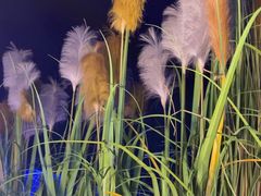 -味界·精致赣菜(招商花园城店)