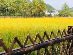 -毛泽东同志旧居