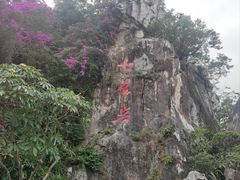 -星湖旅游景区七星岩