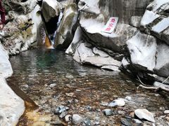 -黑河国家森林公园