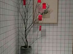 -花悦豆香