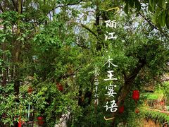 -木王宴语·野生鲜菌火锅(玉河店)