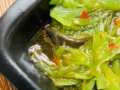 拌海藻-张老板的店(民乐园店)