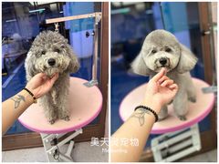 -FAELING PETS美天灵宠物(富力广场店)