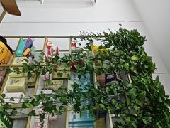-启辰口腔(南坪店)