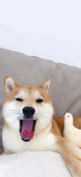 -银座Calla日式美容沙龙