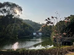 -深圳国际园林花卉博览园