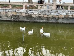 -苏州碑刻博物馆