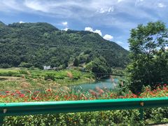 -新安江山水画廊风景区