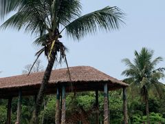 -海南热带野生动植物园