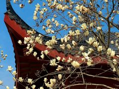 -堤角公园