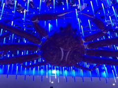 大堂-蟹之国·精品蟹料理(极地店)