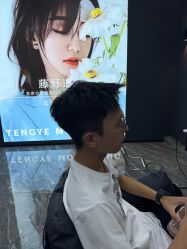 -藤野造型