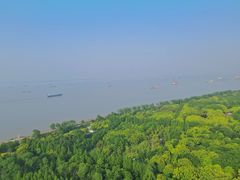 -上海滨江森林公园