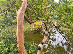 -一品烧农庄·佛山本地特色菜