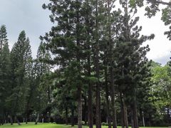 -人民公园(罗湖区)