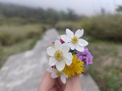 -朱雀国家森林公园