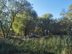 -滨河世纪广场公园