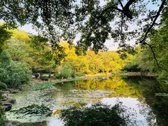 -灵谷景区