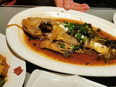 -美豪怡致酒店(上海长寿路店)