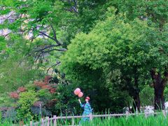 -成都市活水公园